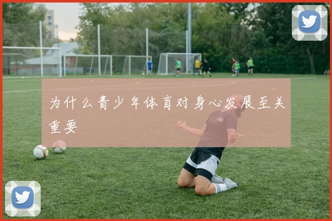 为什么青少年体育对身心发展至关重要