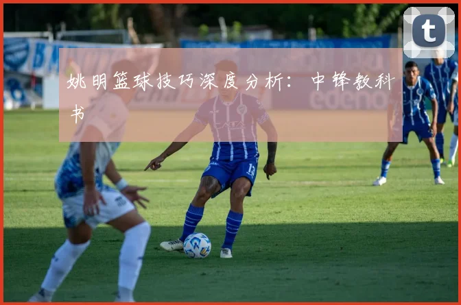 姚明篮球技巧深度分析:中锋教科书
