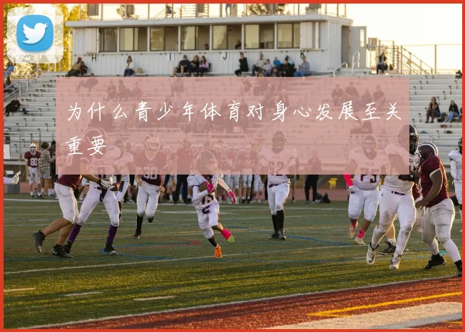 为什么青少年体育对身心发展至关重要