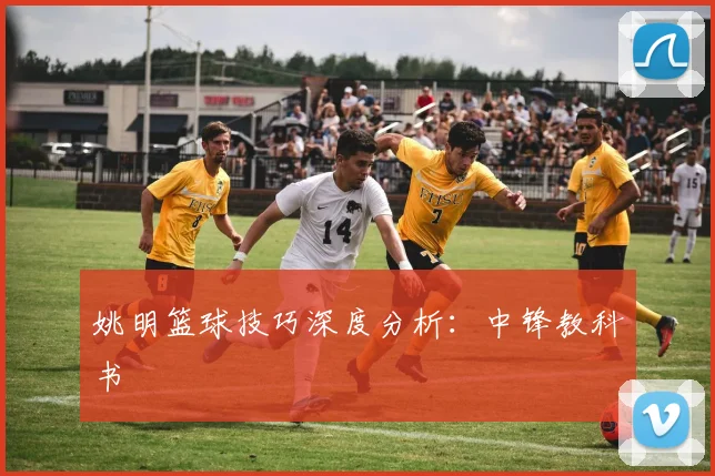 姚明篮球技巧深度分析：中锋教科书
